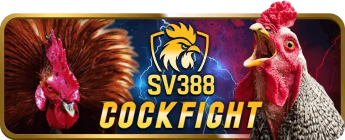 Bàn chơi sòng bạc trực tiếp với dealer tại 44win55 nhà cái